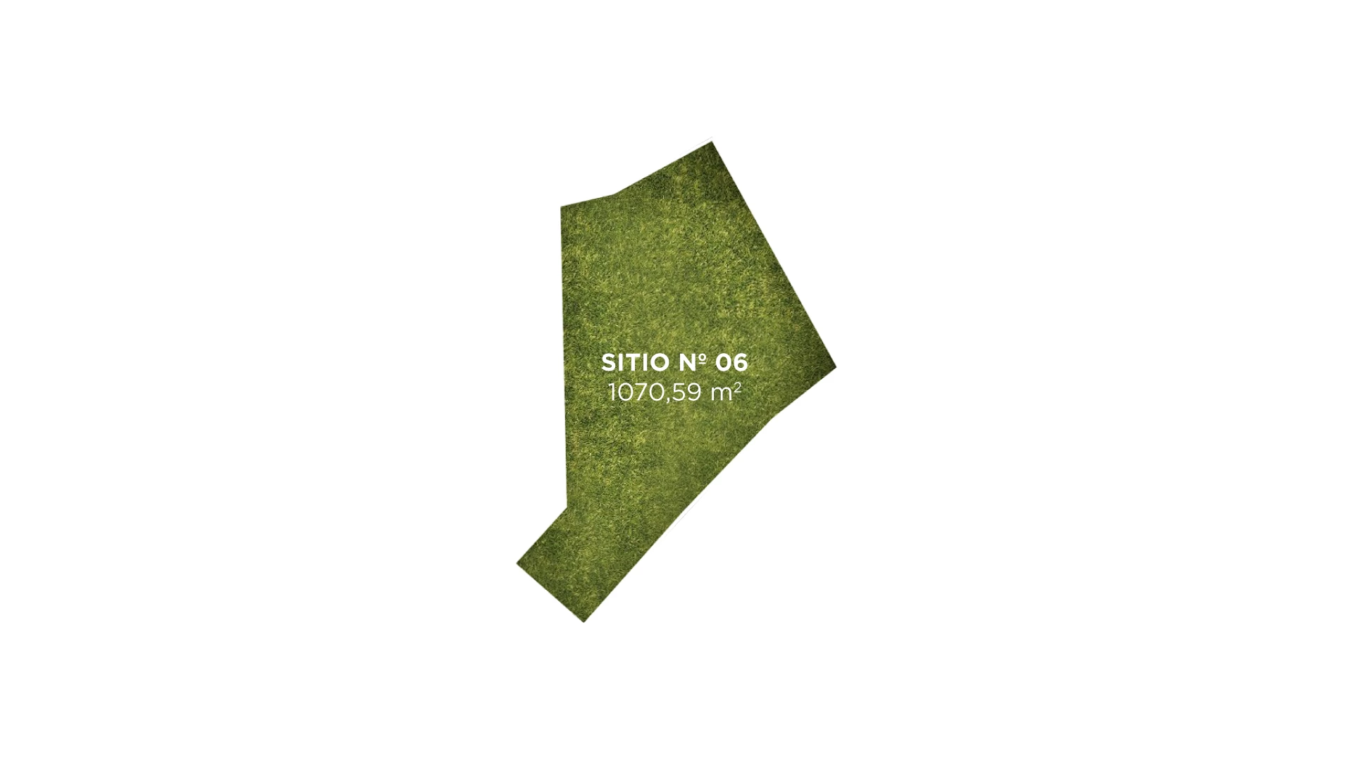 Tipo 06