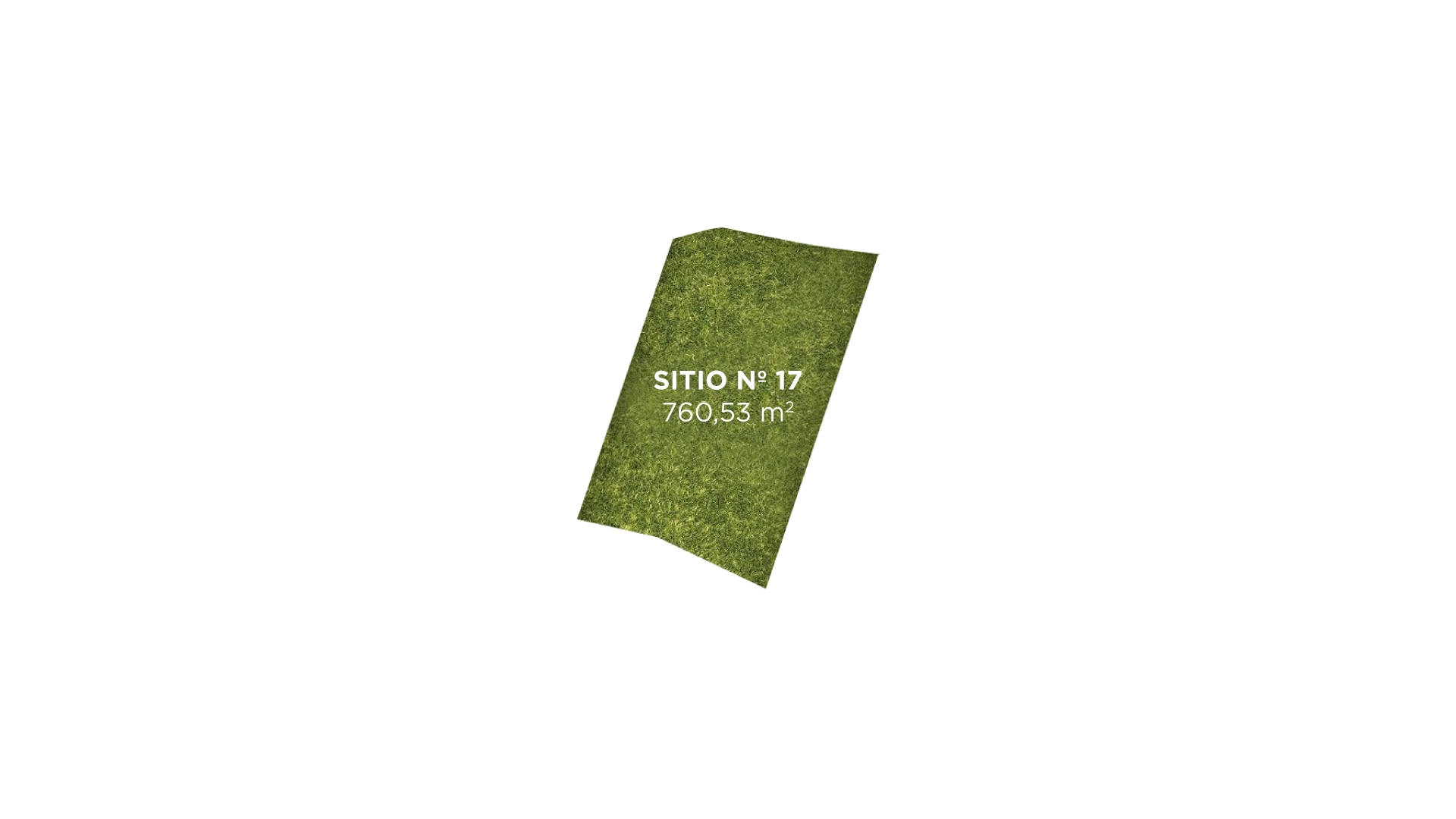 Tipo 17
