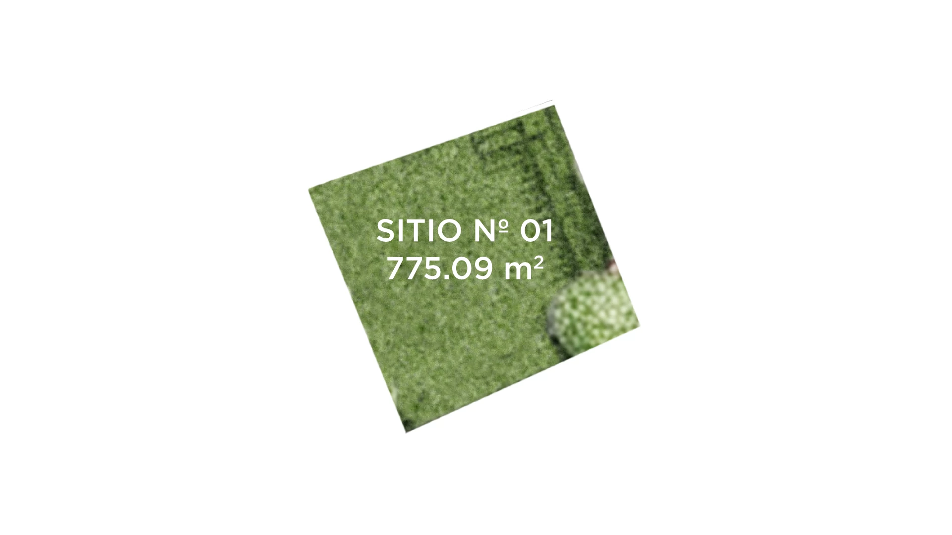 Sitio 01