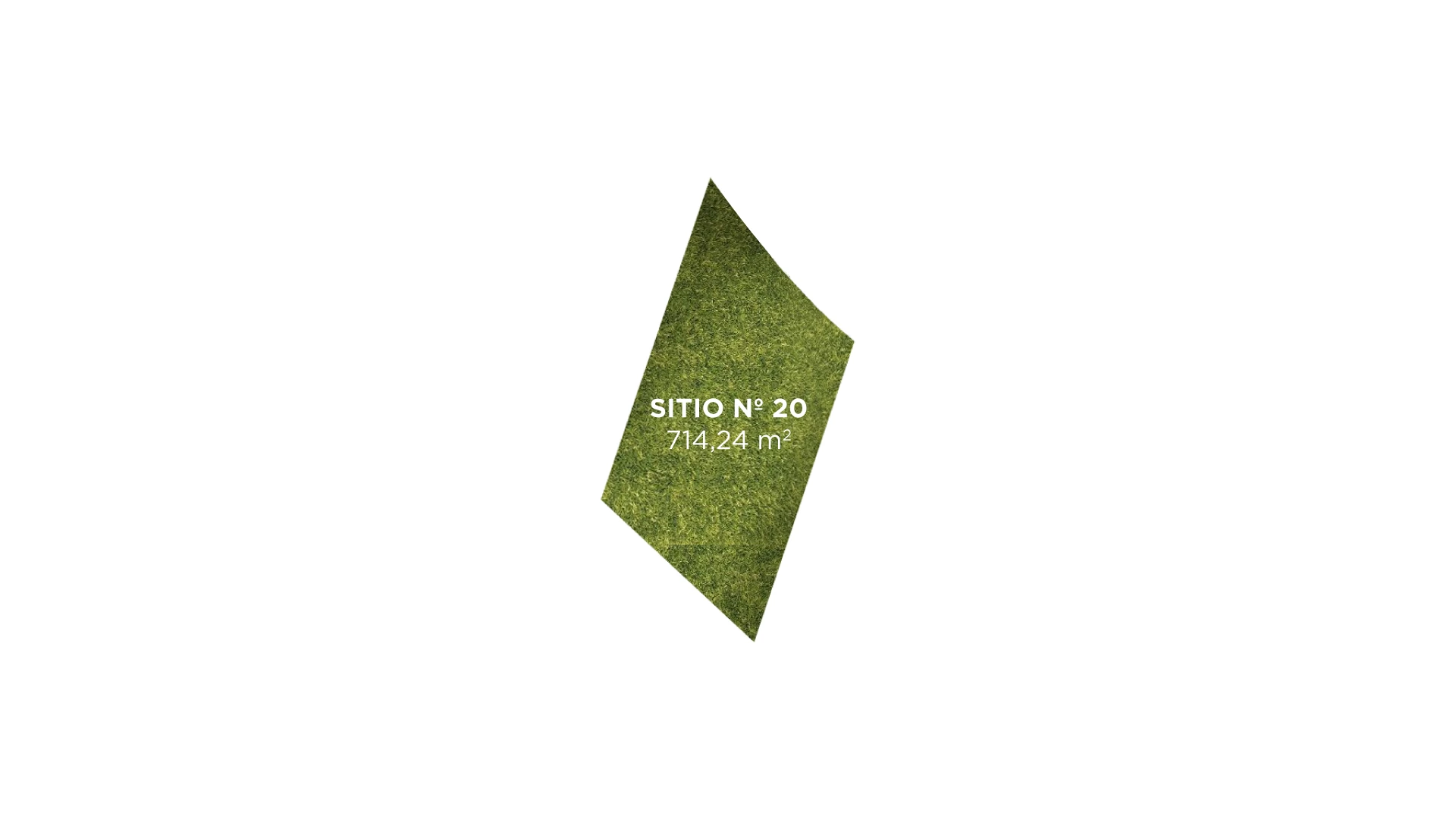 Tipo 20