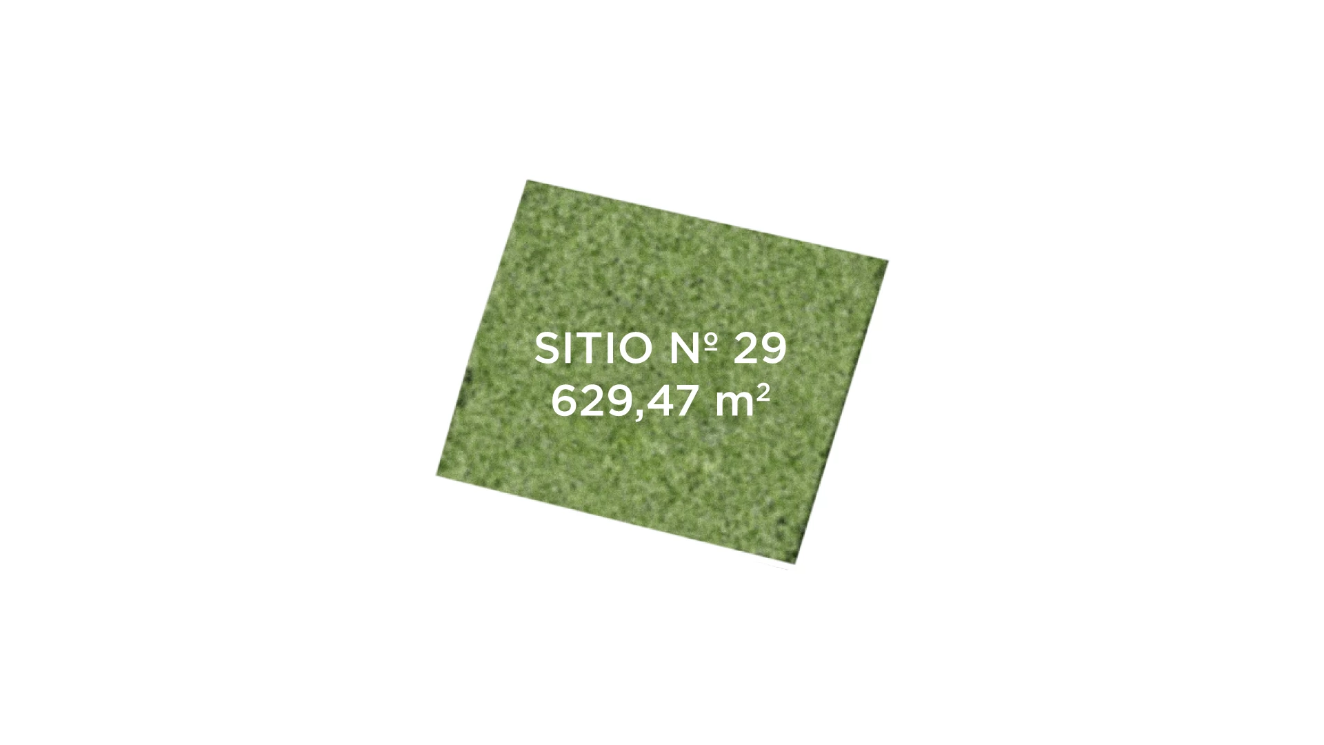 Sitio 29