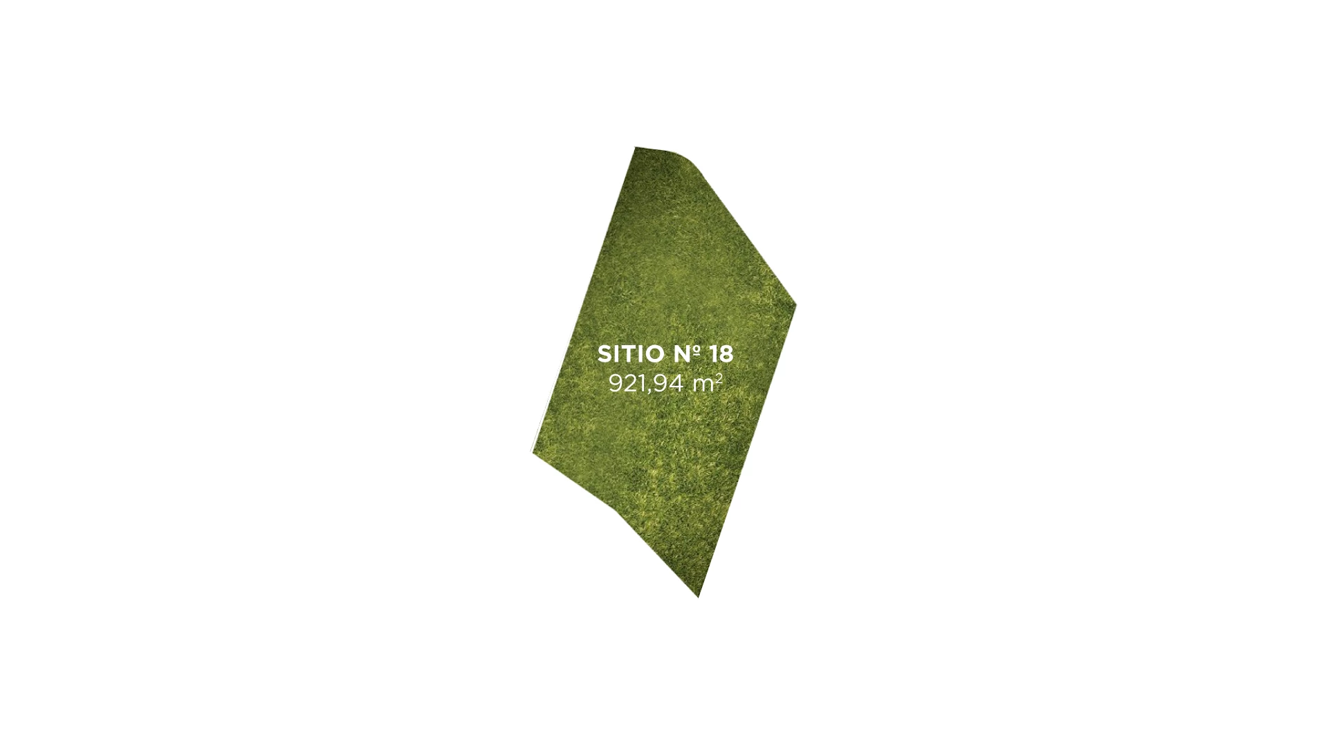 Tipo 18