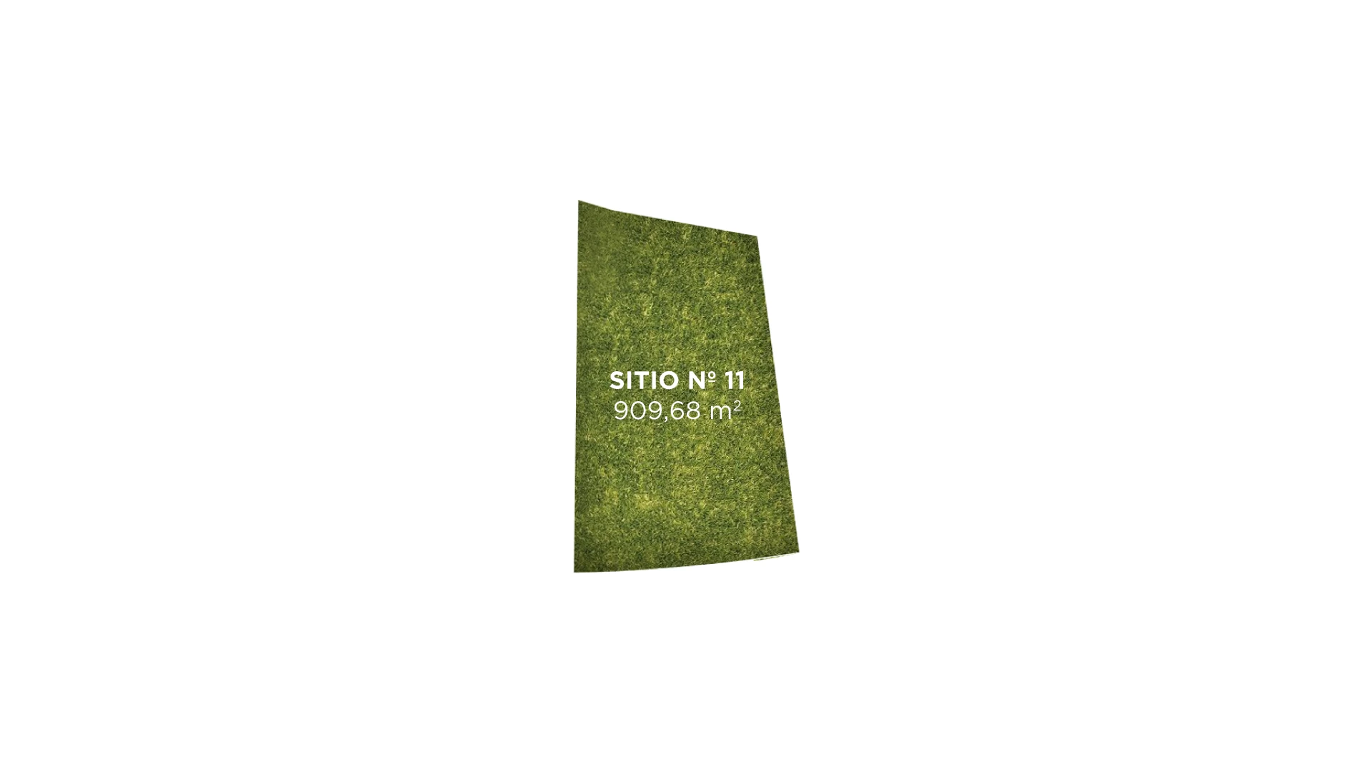 Sitio 11
