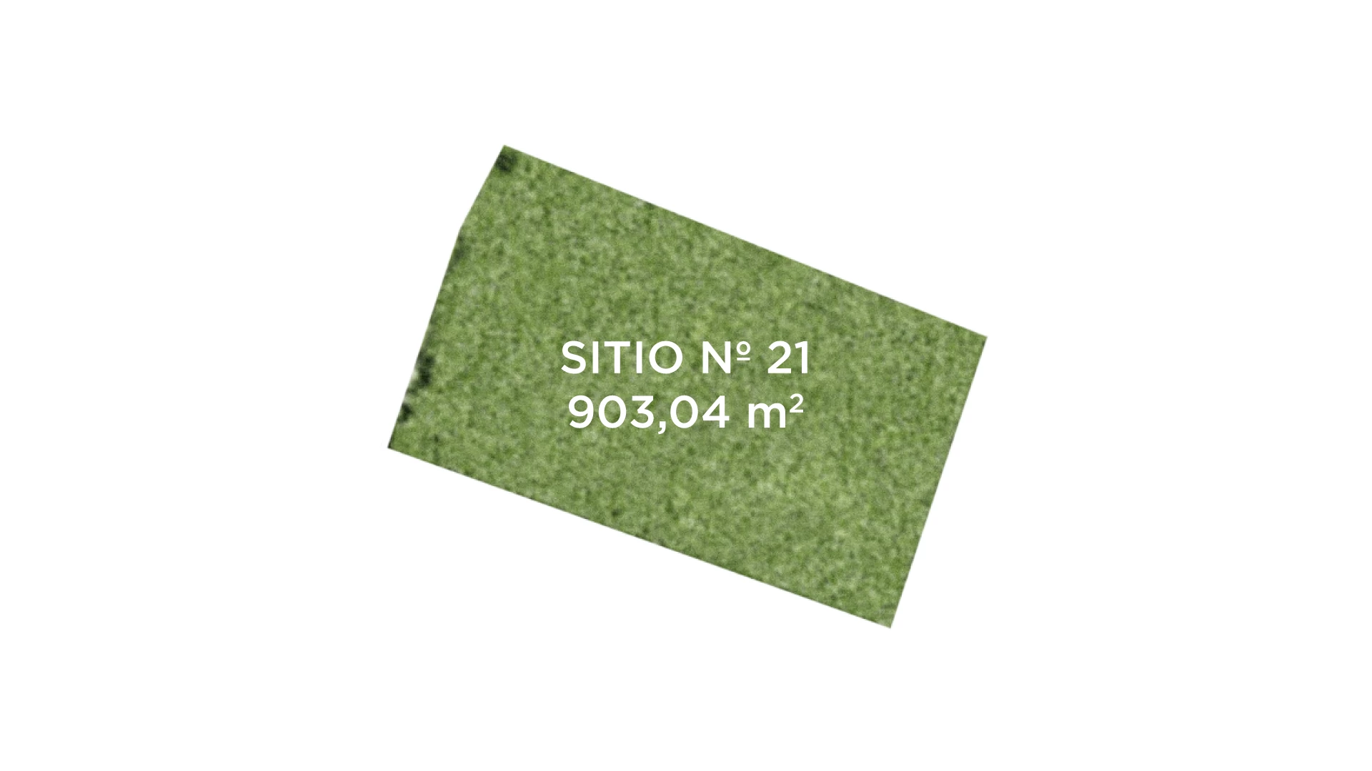 Sitio 21