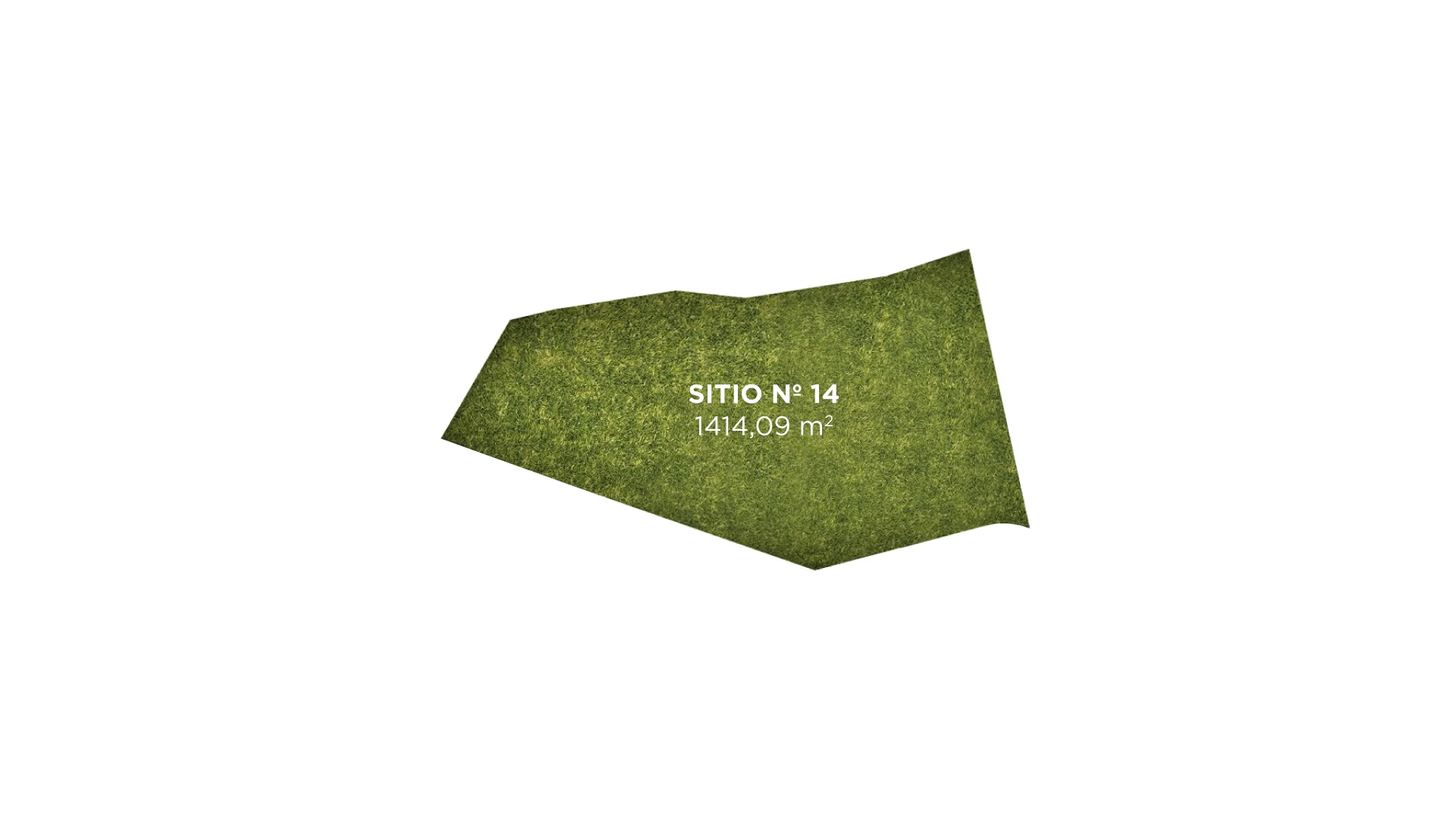 Tipo 14