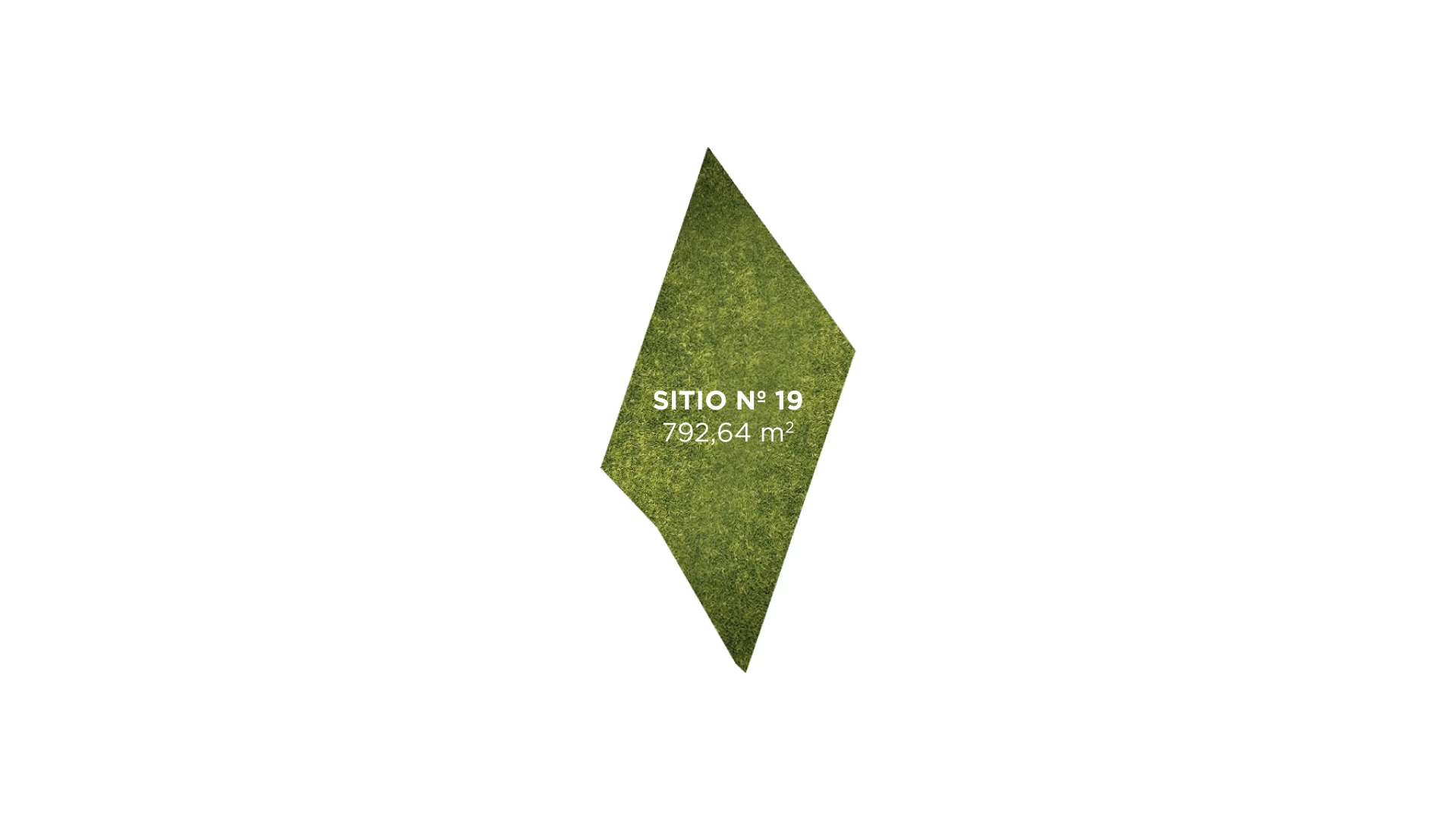 Tipo 19