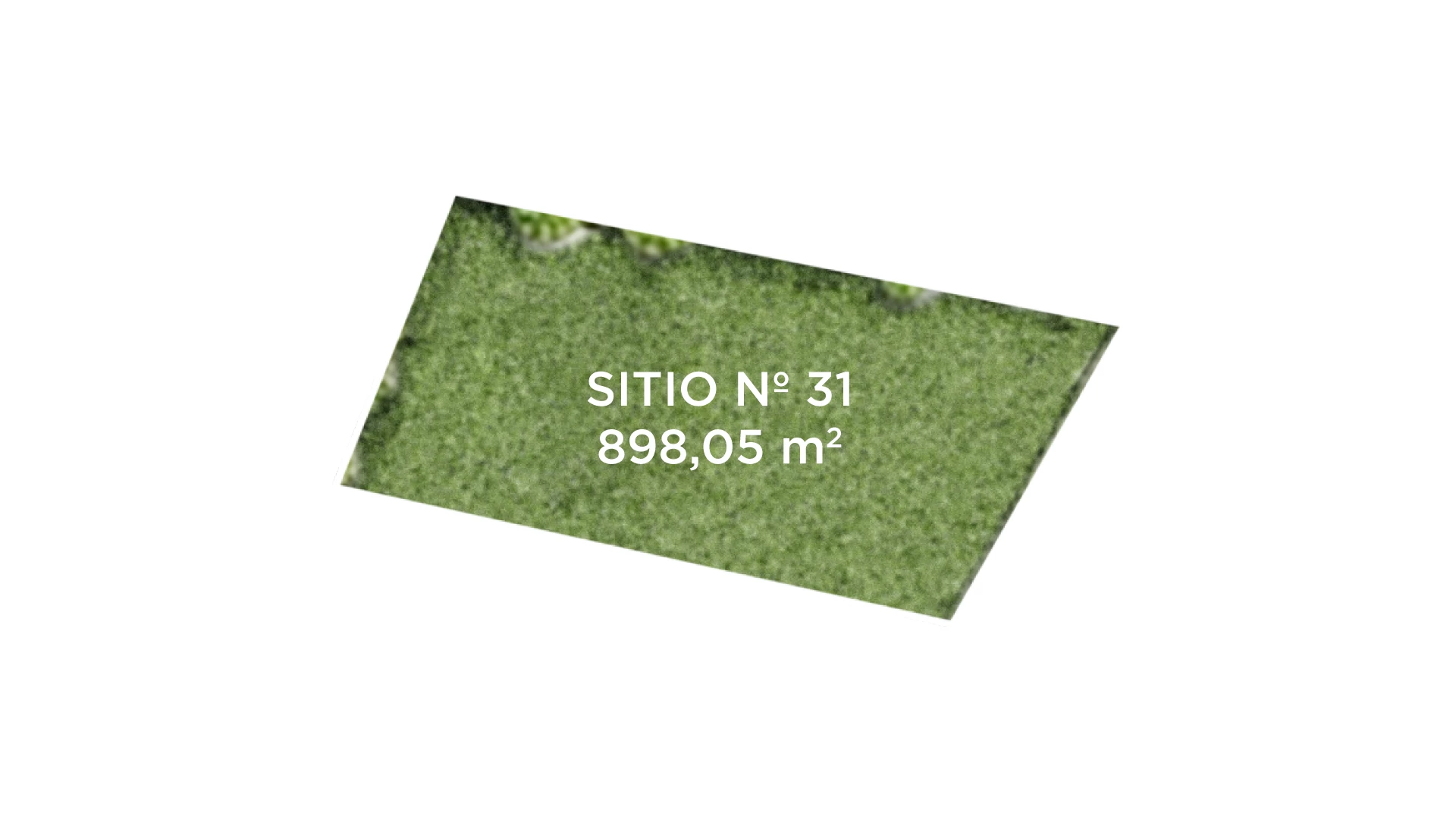Sitio 31